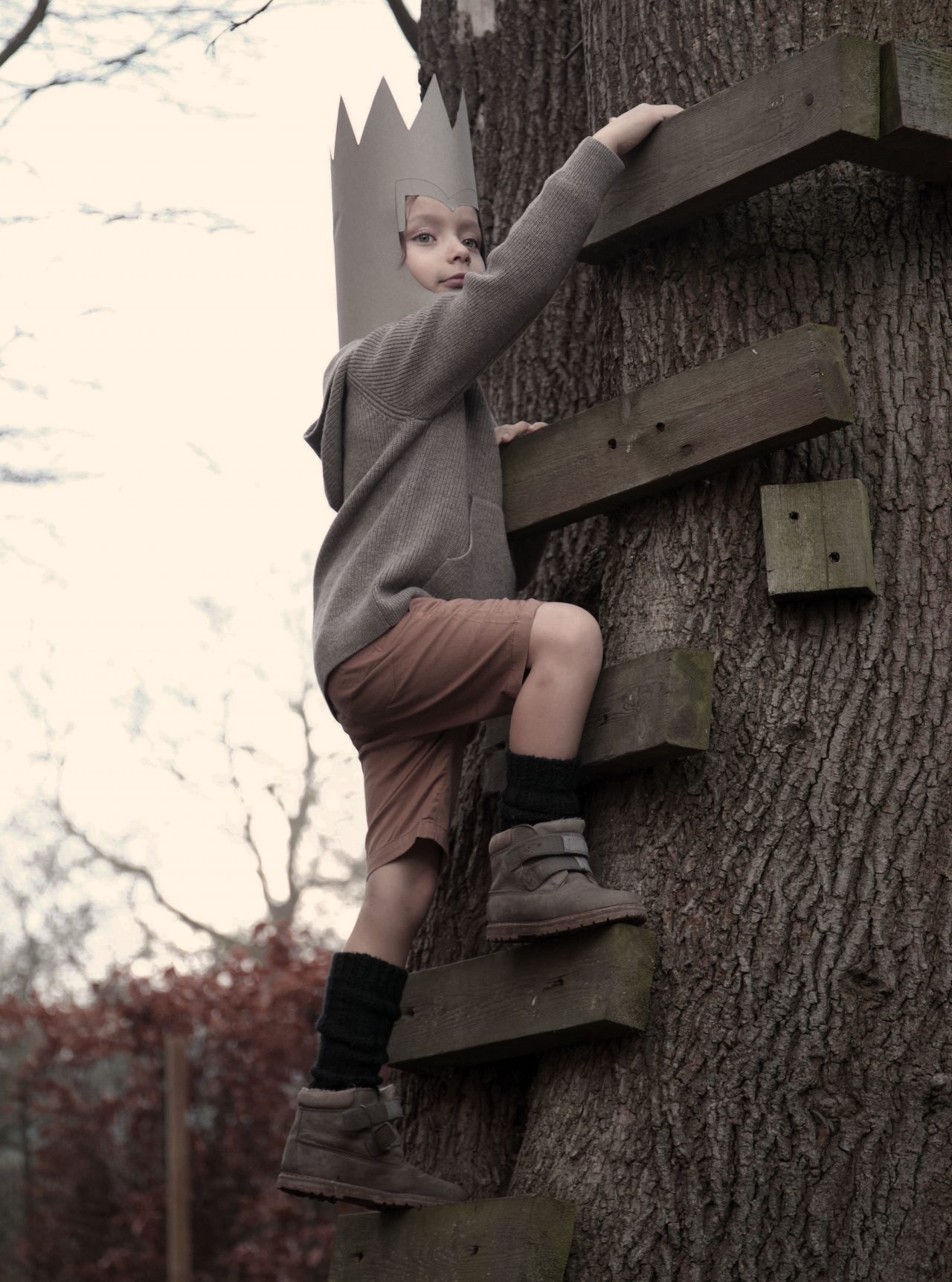Oda omvendt ramasjang boy climbing a tree
