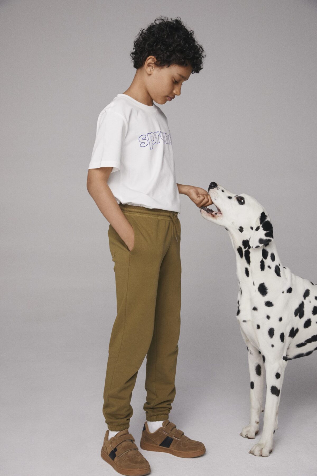boy and a dalmatian dog